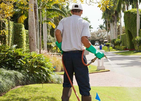 About Canterbury CT Pest Control Pros